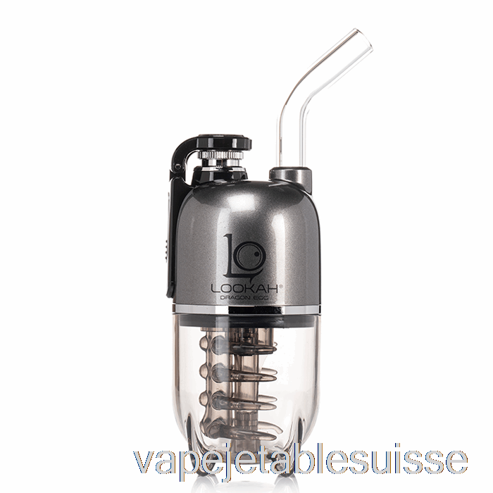 Vape Suisse Lookah Dragon Egg E-rig Vapor Kit Gris